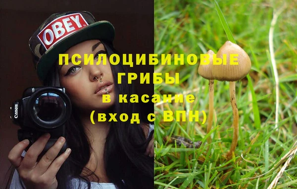 мяу мяу мука Абаза