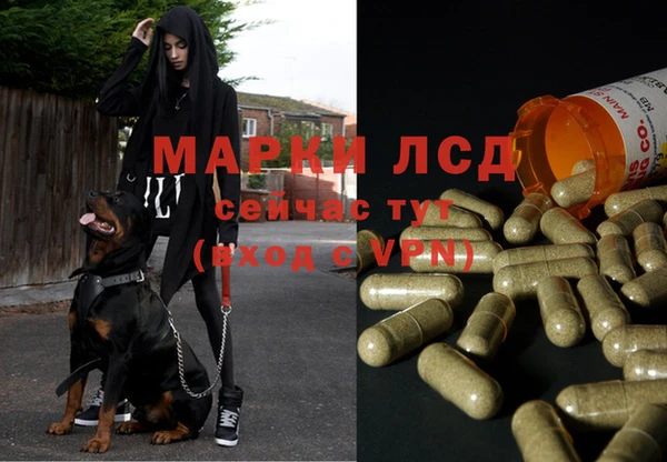мяу мяу мука Абаза